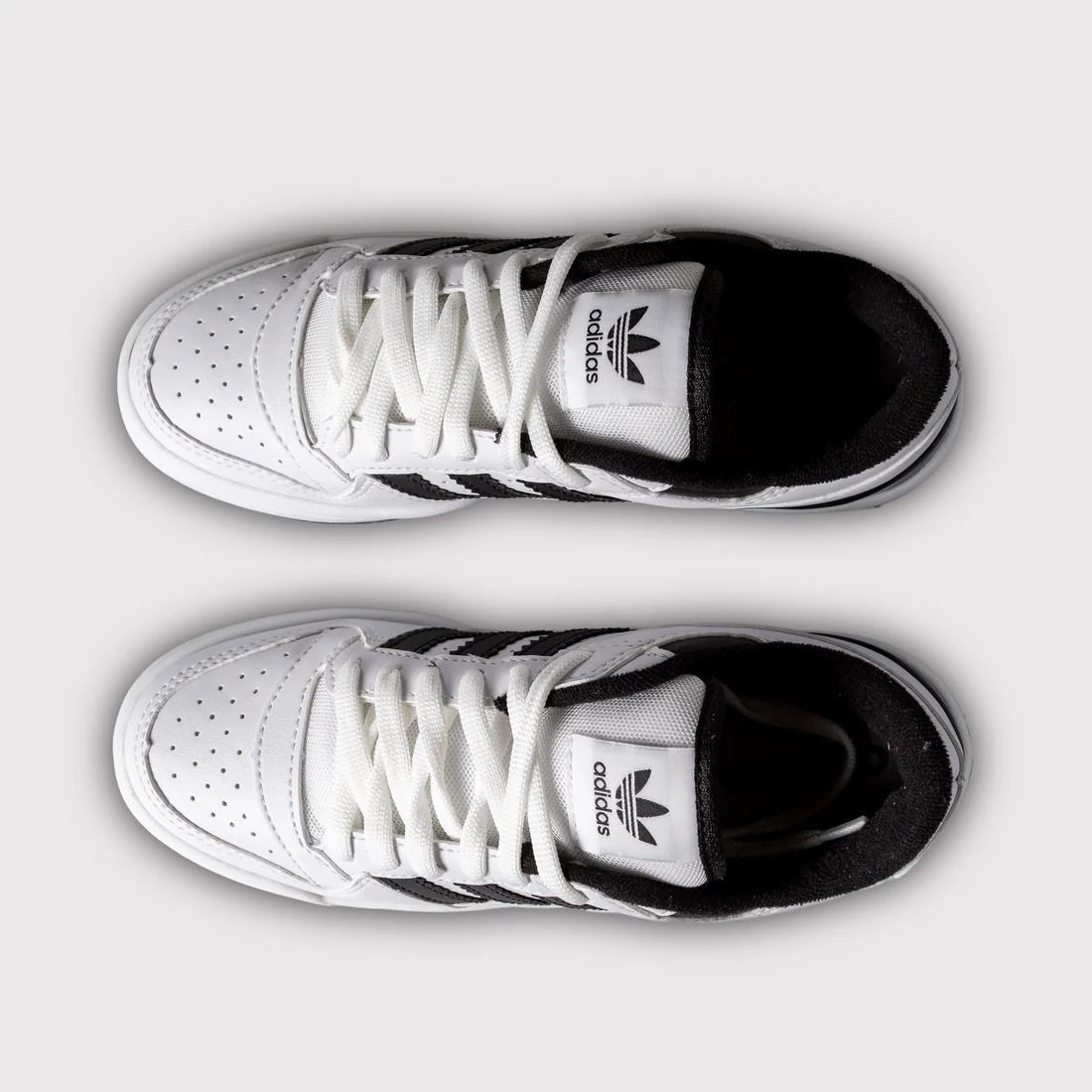 ADDS Fórum Branco/Preto