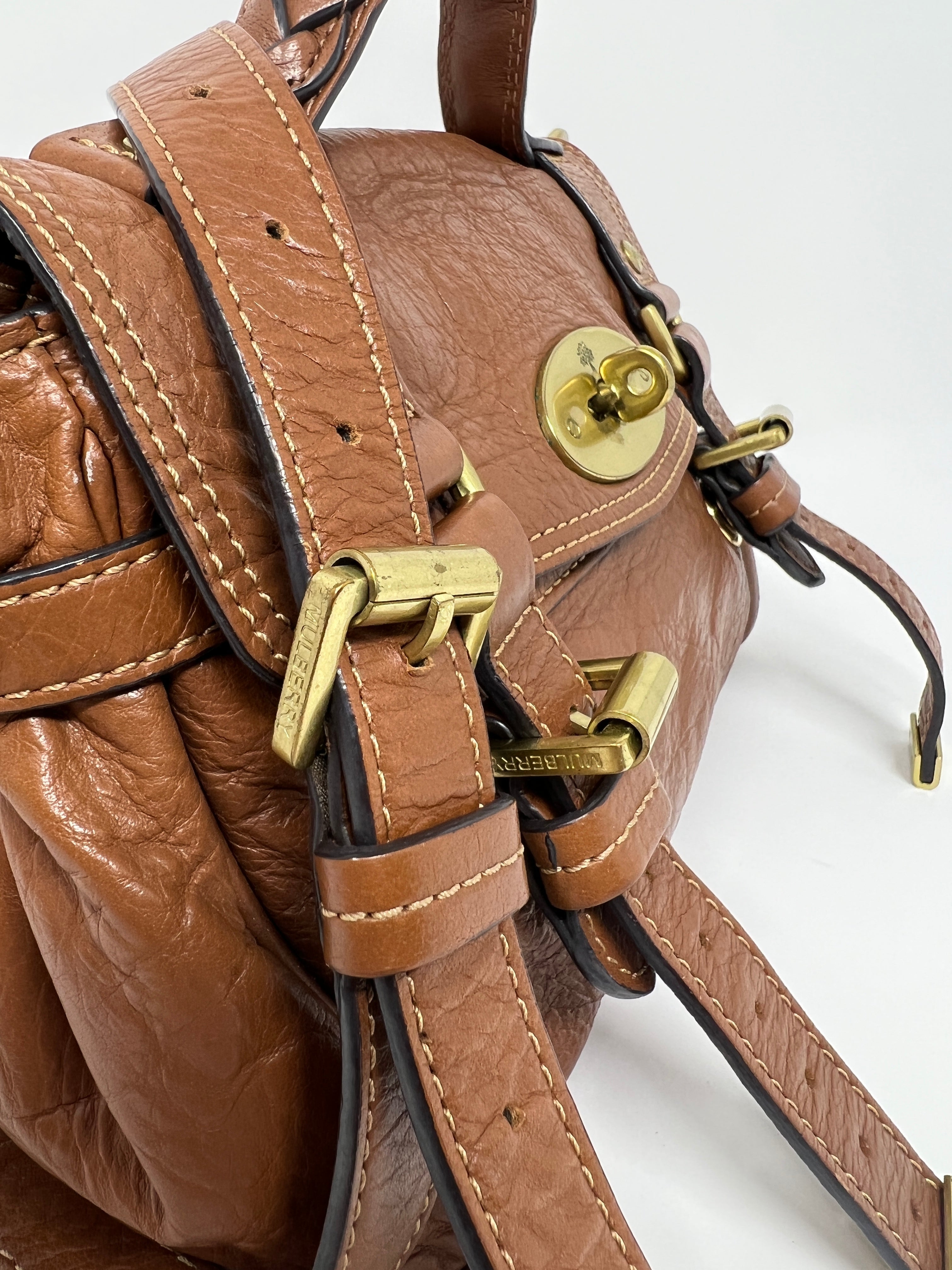 Alexa Mini Tan Buffalo Bag